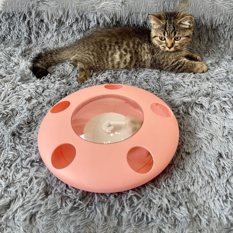 UFO funny cat plate